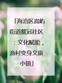 海沧区嵩屿街道鳌冠社区：文化赋能，渔村变身文旅小镇
